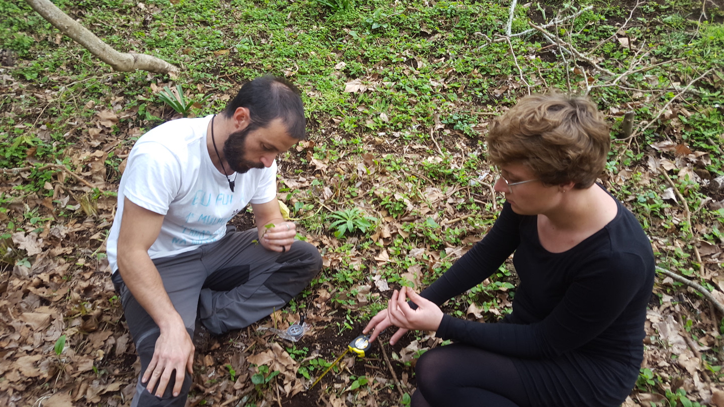 Marco Ferrante, Nora Haack, and Lucas Lamelas-Lopez surveying multiple species in Azores
